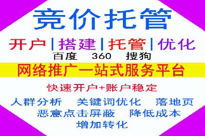 谷歌SEM广告投放策略解析：一家旅游公司的成功案例